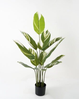 Artificial Tree 70*70*118cm White jade beauty in PP pot/12 lvs GS-66423020 Tree&Plant YeahFlower is one of Chinese leading OEM manufacturers and exporters , supplying the silk flowers, wholesale artificial trees