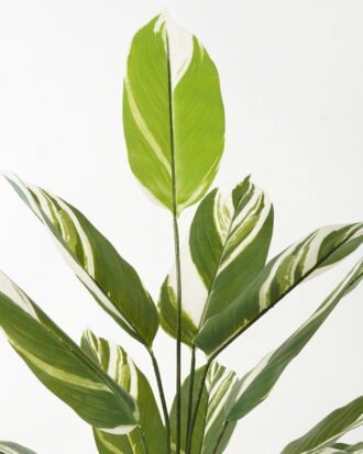 Artificial Tree 70*70*118cm White jade beauty in PP pot/12 lvs GS-66423020 Tree&Plant YeahFlower is one of Chinese leading OEM manufacturers and exporters , supplying the silk flowers, wholesale artificial trees