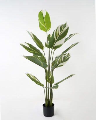 Artificial Tree 84*84*140cm White jade beauty in PP pot/15 lvs GS-66423019 Tree&Plant YeahFlower is one of Chinese leading OEM manufacturers and exporters , supplying the silk flowers, wholesale artificial trees