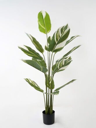 Artificial Tree 63*63*90cm Tree in PP pot/9 lvs GS-66423018 Tree&Plant 3,000+ sqm showroom with thousands of artificial flowers, plants & trees ready for global sourcing.