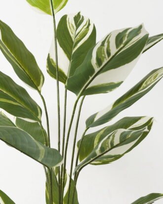 Artificial Tree 84*84*140cm White jade beauty in PP pot/15 lvs GS-66423019 Tree&Plant YeahFlower is one of Chinese leading OEM manufacturers and exporters , supplying the silk flowers, wholesale artificial trees