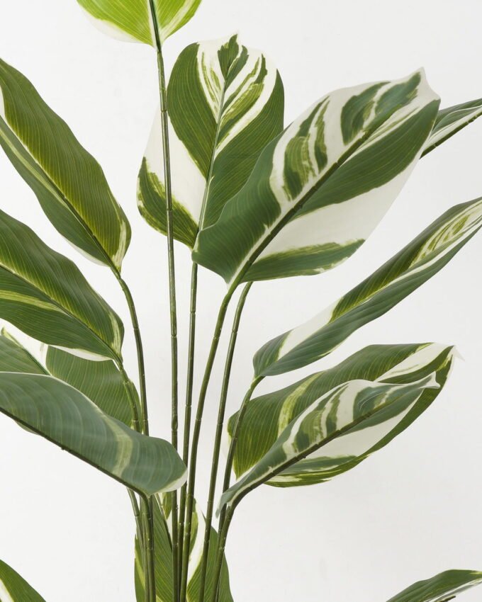 Artificial Tree 84*84*140cm White jade beauty in PP pot/15 lvs GS-66423019 Tree&Plant YeahFlower is one of Chinese leading OEM manufacturers and exporters , supplying the silk flowers, wholesale artificial trees