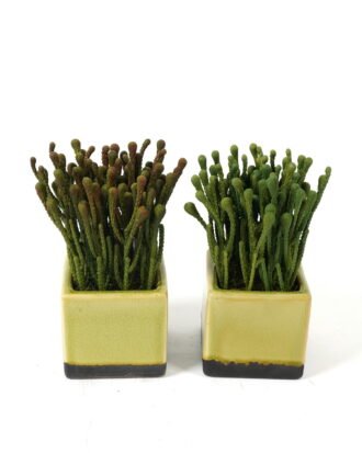 Artificial Table Plants 13*13*20cm Artificial plant in Ceramic pot GS-59123017 Potted Flowers&Plants YeahFlower is one of Chinese leading OEM manufacturers and exporters , supplying the silk flowers, wholesale artificial trees