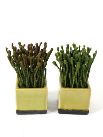 Artificial Table Plants 50*25*25cm Leaf in PP pot GS-03323115 Potted Flowers&Plants 3,000+ sqm showroom with thousands of artificial flowers, plants & trees ready for global sourcing.