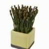 Artificial plant in Ceramic pot GS-59123017_2 Artificial Table Plants 13*13*20cm Artificial plant in Ceramic pot GS-59123017 Potted Flowers&Plants YeahFlower is one of Chinese leading OEM manufacturers and exporters , supplying the silk flowers, wholesale artificial trees