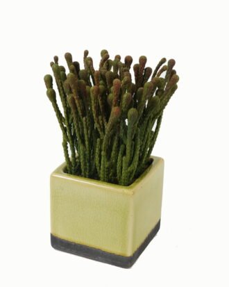 Artificial Table Plants 13*13*20cm Artificial plant in Ceramic pot GS-59123017 Potted Flowers&Plants YeahFlower is one of Chinese leading OEM manufacturers and exporters , supplying the silk flowers, wholesale artificial trees