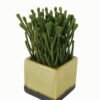Artificial plant in Ceramic pot GS-59123017_3 Artificial Table Plants 13*13*20cm Artificial plant in Ceramic pot GS-59123017 Potted Flowers&Plants YeahFlower is one of Chinese leading OEM manufacturers and exporters , supplying the silk flowers, wholesale artificial trees