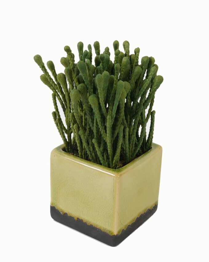 Artificial plant in Ceramic pot GS-59123017_3 Artificial Table Plants 13*13*20cm Artificial plant in Ceramic pot GS-59123017 Potted Flowers&Plants YeahFlower is one of Chinese leading OEM manufacturers and exporters , supplying the silk flowers, wholesale artificial trees