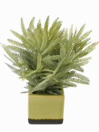 Artificial Table Plants 13*13*20cm Artificial plant in Ceramic pot GS-59123017 Potted Flowers&Plants 3,000+ sqm showroom with thousands of artificial flowers, plants & trees ready for global sourcing.