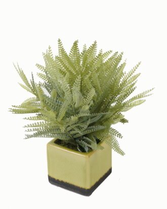 Artificial Table Plants 22*22*28cm Artificial plant in Ceramic pot GS-59123018 Potted Flowers&Plants YeahFlower is one of Chinese leading OEM manufacturers and exporters , supplying the silk flowers, wholesale artificial trees