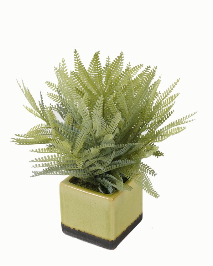 Artificial Table Plants 22*22*28cm Artificial plant in Ceramic pot GS-59123018 Potted Flowers&Plants YeahFlower is one of Chinese leading OEM manufacturers and exporters , supplying the silk flowers, wholesale artificial trees