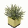 Artificial plant in Ceramic pot GS-59123019_8 Artificial Table Plants 21*21*20cm Artificial plant in Ceramic pot GS-59123019 Potted Flowers&Plants YeahFlower is one of Chinese leading OEM manufacturers and exporters , supplying the silk flowers, wholesale artificial trees