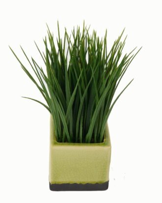 Artificial Table Plants 16*16*24cm Artificial plant in Ceramic pot GS-59123020 Potted Flowers&Plants YeahFlower is one of Chinese leading OEM manufacturers and exporters , supplying the silk flowers, wholesale artificial trees