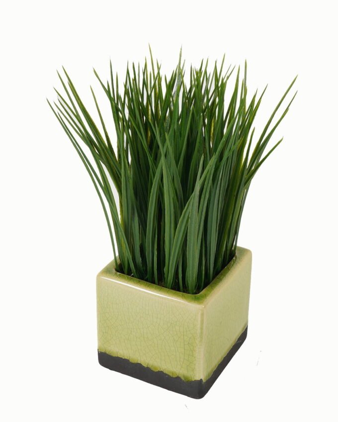 Artificial Table Plants 16*16*24cm Artificial plant in Ceramic pot GS-59123020 Potted Flowers&Plants YeahFlower is one of Chinese leading OEM manufacturers and exporters , supplying the silk flowers, wholesale artificial trees