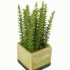 Artificial plant in Ceramic pot GS-59123021_2 Artificial Table Plants 12*12*23cm Artificial plant in Ceramic pot GS-59123021 Potted Flowers&Plants YeahFlower is one of Chinese leading OEM manufacturers and exporters , supplying the silk flowers, wholesale artificial trees