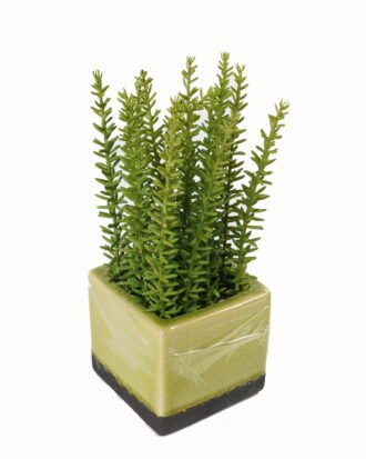 Artificial Table Plants 12*12*23cm Artificial plant in Ceramic pot GS-59123021 Potted Flowers&Plants YeahFlower is one of Chinese leading OEM manufacturers and exporters , supplying the silk flowers, wholesale artificial trees