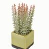 Artificial plant in Ceramic pot GS-59123021_3 Artificial Table Plants 12*12*23cm Artificial plant in Ceramic pot GS-59123021 Potted Flowers&Plants YeahFlower is one of Chinese leading OEM manufacturers and exporters , supplying the silk flowers, wholesale artificial trees