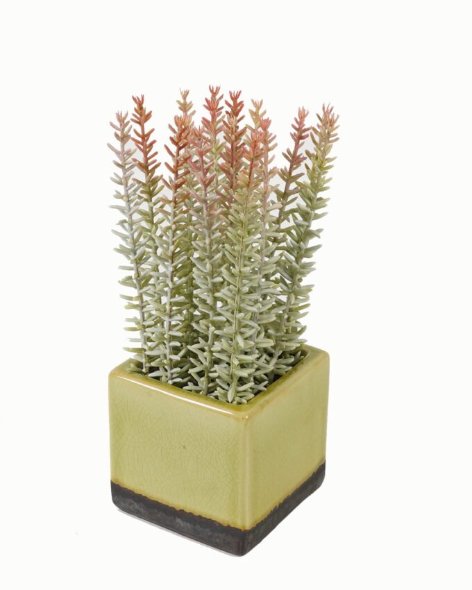 Artificial plant in Ceramic pot GS-59123021_3 Artificial Table Plants 12*12*23cm Artificial plant in Ceramic pot GS-59123021 Potted Flowers&Plants YeahFlower is one of Chinese leading OEM manufacturers and exporters , supplying the silk flowers, wholesale artificial trees