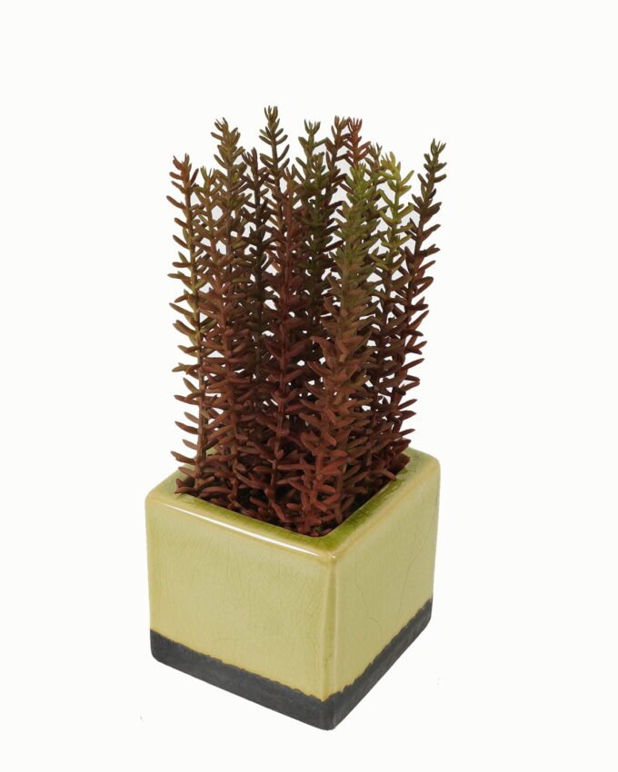 Artificial plant in Ceramic pot GS-59123021_4 Artificial Table Plants 12*12*23cm Artificial plant in Ceramic pot GS-59123021 Potted Flowers&Plants YeahFlower is one of Chinese leading OEM manufacturers and exporters , supplying the silk flowers, wholesale artificial trees