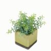 Artificial plant in Ceramic pot GS-59123022_9 Artificial Table Plants 18*18*25cm Artificial plant in Ceramic pot GS-59123022 Potted Flowers&Plants YeahFlower is one of Chinese leading OEM manufacturers and exporters , supplying the silk flowers, wholesale artificial trees