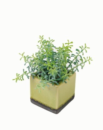 Artificial Table Plants 18*18*25cm Artificial plant in Ceramic pot GS-59123022 Potted Flowers&Plants YeahFlower is one of Chinese leading OEM manufacturers and exporters , supplying the silk flowers, wholesale artificial trees