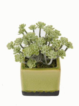 Artificial Table Plants 18*18*25cm Artificial plant in Ceramic pot GS-59123022 Potted Flowers&Plants 3,000+ sqm showroom with thousands of artificial flowers, plants & trees ready for global sourcing.
