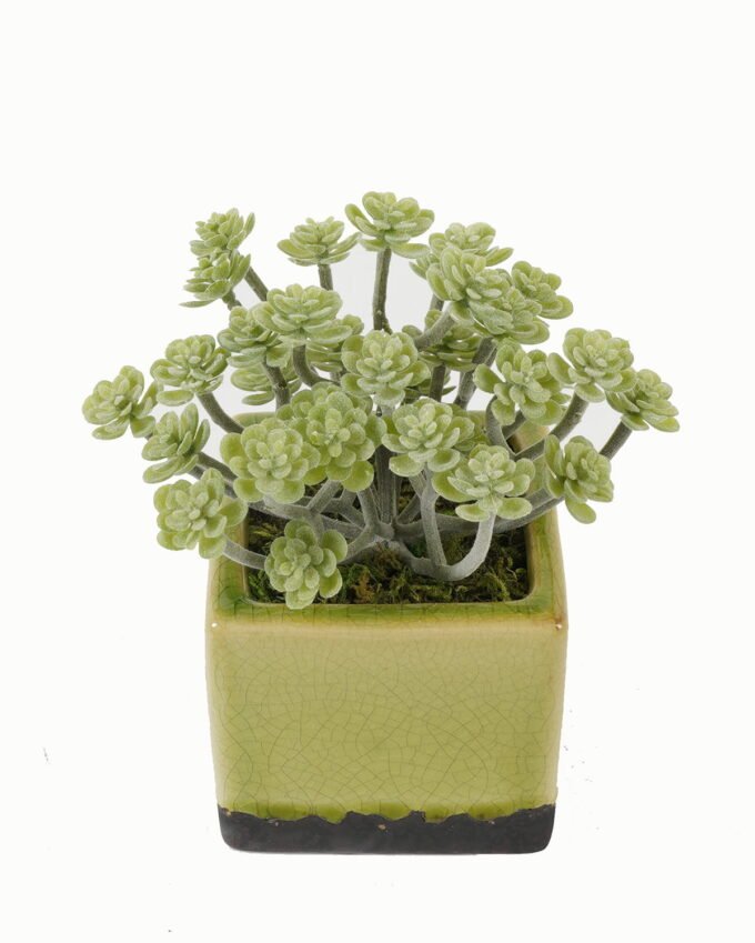 Artificial plant in Ceramic pot GS-59123024_6 Artificial Table Plants 15*15*17cm Artificial plant in Ceramic pot GS-59123024 Potted Flowers&Plants YeahFlower is one of Chinese leading OEM manufacturers and exporters , supplying the silk flowers, wholesale artificial trees