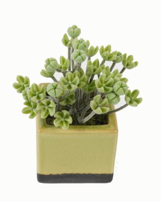 Artificial Table Plants 15*15*17cm Artificial plant in Ceramic pot GS-59123024 Potted Flowers&Plants YeahFlower is one of Chinese leading OEM manufacturers and exporters , supplying the silk flowers, wholesale artificial trees