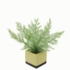 Artificial Table Plants 30*30*28cm Artificial plant in Ceramic pot GS-59123026 Potted Flowers&Plants YeahFlower is one of Chinese leading OEM manufacturers and exporters , supplying the silk flowers, wholesale artificial trees