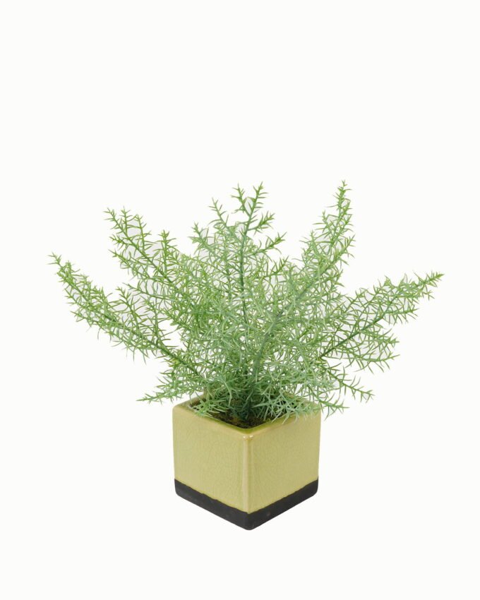 Artificial Table Plants 30*30*28cm Artificial plant in Ceramic pot GS-59123026 Potted Flowers&Plants YeahFlower is one of Chinese leading OEM manufacturers and exporters , supplying the silk flowers, wholesale artificial trees