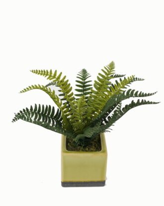 Artificial Table Plants 26*26*24cm Artificial plant in Ceramic pot GS-59123028 Potted Flowers&Plants YeahFlower is one of Chinese leading OEM manufacturers and exporters , supplying the silk flowers, wholesale artificial trees