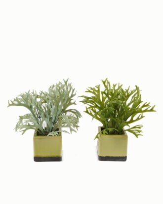 Artificial Table Plants 24*24*26cm Artificial plant in Ceramic pot GS-59123029 Potted Flowers&Plants YeahFlower is one of Chinese leading OEM manufacturers and exporters , supplying the silk flowers, wholesale artificial trees