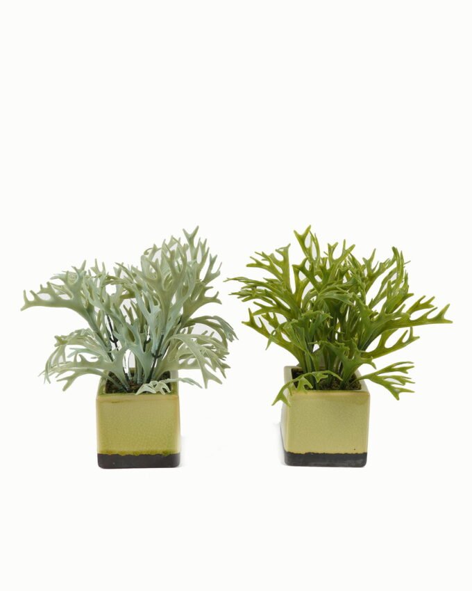 Artificial Table Plants 24*24*26cm Artificial plant in Ceramic pot GS-59123029 Potted Flowers&Plants YeahFlower is one of Chinese leading OEM manufacturers and exporters , supplying the silk flowers, wholesale artificial trees