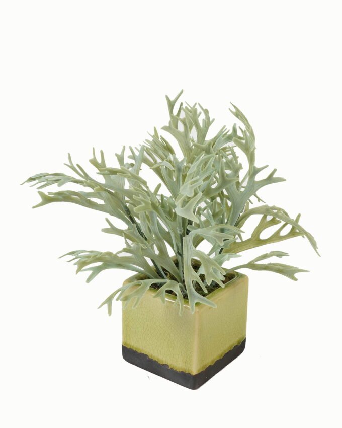 Artificial Table Plants 24*24*26cm Artificial plant in Ceramic pot GS-59123029 Potted Flowers&Plants YeahFlower is one of Chinese leading OEM manufacturers and exporters , supplying the silk flowers, wholesale artificial trees