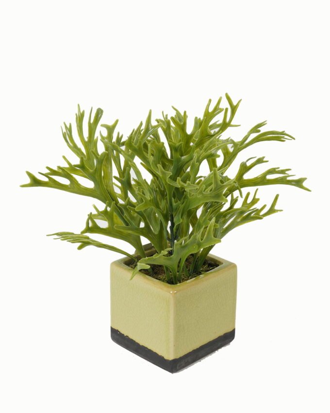 Artificial Table Plants 24*24*26cm Artificial plant in Ceramic pot GS-59123029 Potted Flowers&Plants YeahFlower is one of Chinese leading OEM manufacturers and exporters , supplying the silk flowers, wholesale artificial trees