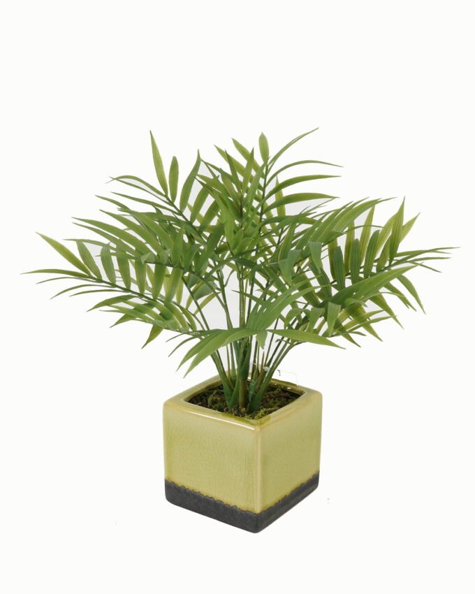 Artificial Table Plants 24*24*28cm Artificial plant in Ceramic pot GS-59123030 Potted Flowers&Plants YeahFlower is one of Chinese leading OEM manufacturers and exporters , supplying the silk flowers, wholesale artificial trees