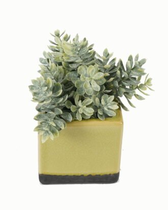 Artificial Table Plants 16*16*17cm Artificial plant in Ceramic pot GS-59123031 Potted Flowers&Plants YeahFlower is one of Chinese leading OEM manufacturers and exporters , supplying the silk flowers, wholesale artificial trees