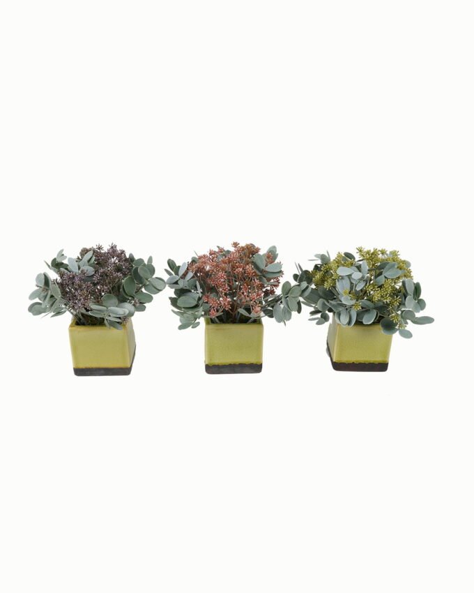 Artificial Table Plants 22*22*22cm Artificial plant in Ceramic pot GS-59123032 Potted Flowers&Plants YeahFlower is one of Chinese leading OEM manufacturers and exporters , supplying the silk flowers, wholesale artificial trees