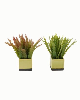 Artificial Table Plants 23*23*26cm Artificial plant in Ceramic pot GS-59123033 Potted Flowers&Plants YeahFlower is one of Chinese leading OEM manufacturers and exporters , supplying the silk flowers, wholesale artificial trees
