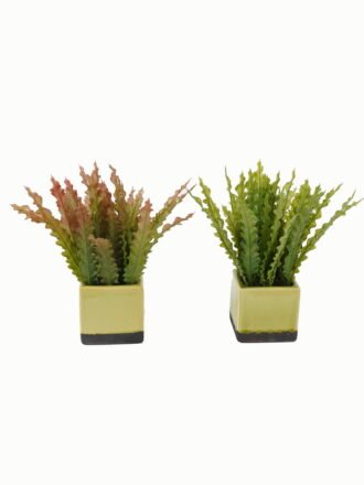Artificial Table Plants 22*22*22cm Artificial plant in Ceramic pot GS-59123032 Potted Flowers&Plants 3,000+ sqm showroom with thousands of artificial flowers, plants & trees ready for global sourcing.