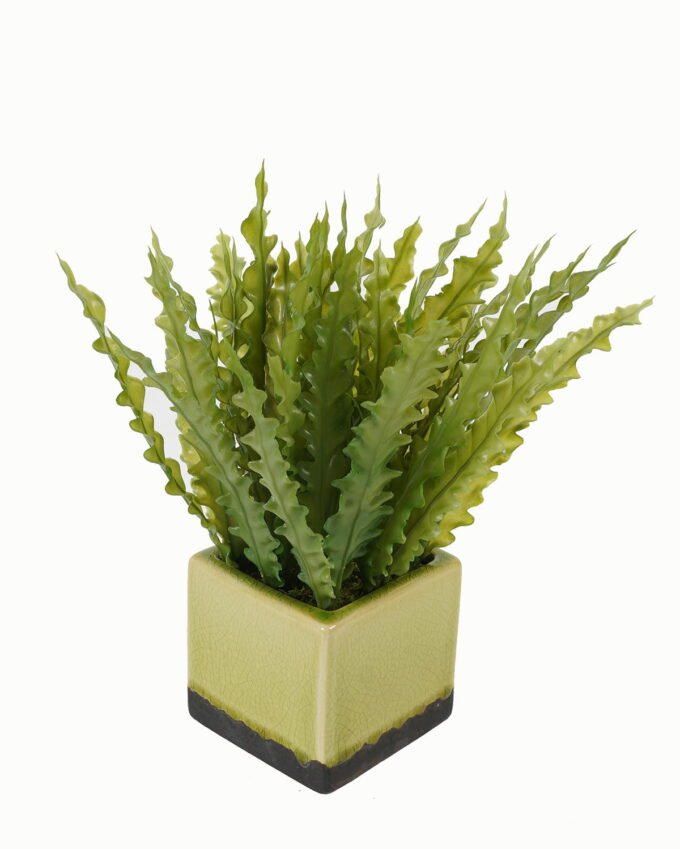Artificial Table Plants 23*23*26cm Artificial plant in Ceramic pot GS-59123033 Potted Flowers&Plants YeahFlower is one of Chinese leading OEM manufacturers and exporters , supplying the silk flowers, wholesale artificial trees