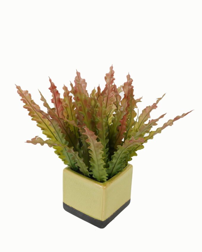 Artificial Table Plants 23*23*26cm Artificial plant in Ceramic pot GS-59123033 Potted Flowers&Plants YeahFlower is one of Chinese leading OEM manufacturers and exporters , supplying the silk flowers, wholesale artificial trees