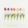 Artificial Flower 48cm Tulip single stem GS-41523003_2 Artificial Flower 48cm Tulip single stem GS-41523003 Single Flowers YeahFlower is one of Chinese leading OEM manufacturers and exporters , supplying the silk flowers, wholesale artificial trees