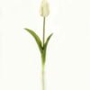 Artificial Flower 48cm Tulip single stem GS-41523003_4 Artificial Flower 48cm Tulip single stem GS-41523003 Single Flowers YeahFlower is one of Chinese leading OEM manufacturers and exporters , supplying the silk flowers, wholesale artificial trees