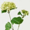 Artificial Flower 66cm Hydrangea *2 single stem GVC-23-3019-G1 Single Flowers YeahFlower is one of Chinese leading OEM manufacturers and exporters , supplying the silk flowers, wholesale artificial trees