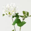 Artificial Flower 66cm Hydrangea *2 single stem GVC-23-3019-W1 Single Flowers YeahFlower is one of Chinese leading OEM manufacturers and exporters , supplying the silk flowers, wholesale artificial trees