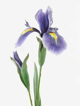 Artificial Flower 13*13*68cm Alice flower *2 single stem GS-39123003-Y1 Single Flowers 3,000+ sqm showroom with thousands of artificial flowers, plants & trees ready for global sourcing.