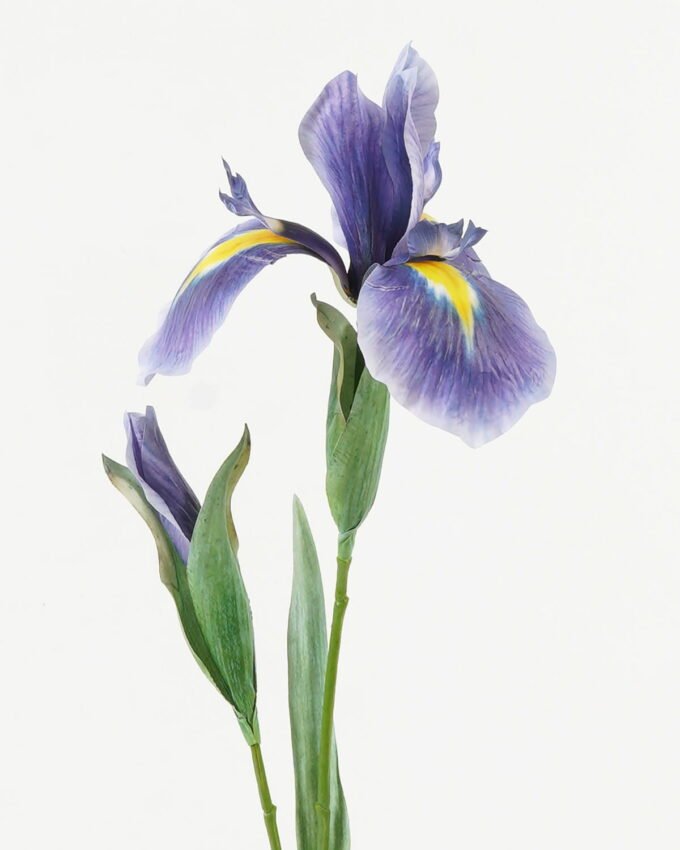 Artificial Flower 13*13*68cm Alice flower *2 single stem GS-39123003-B1 Single Flowers YeahFlower is one of Chinese leading OEM manufacturers and exporters , supplying the silk flowers, wholesale artificial trees