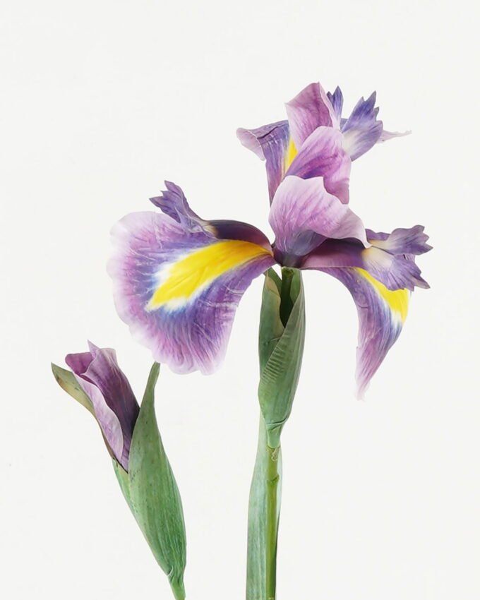 Artificial Flower 13*13*68cm Alice flower *2 single stem GS-39123003-Z3 Single Flowers YeahFlower is one of Chinese leading OEM manufacturers and exporters , supplying the silk flowers, wholesale artificial trees