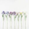 Artificial Flower 13*13*68cm Alice flower *2 single stem GS-39123003 Single Flowers YeahFlower is one of Chinese leading OEM manufacturers and exporters , supplying the silk flowers, wholesale artificial trees